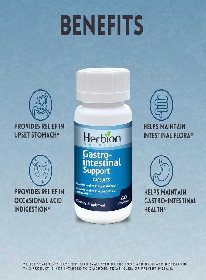 HERBION Naturals Gastro-intestinal Support Herbal Blend for Upset Stomach Relief, Gastrointestinal Health and Function, Occasional Acid Indigestion, Healthy Intestinal Flora, 60 Count, Pack of 1 - Image 4